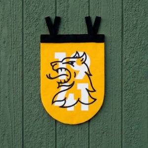 Banderín Leon 1